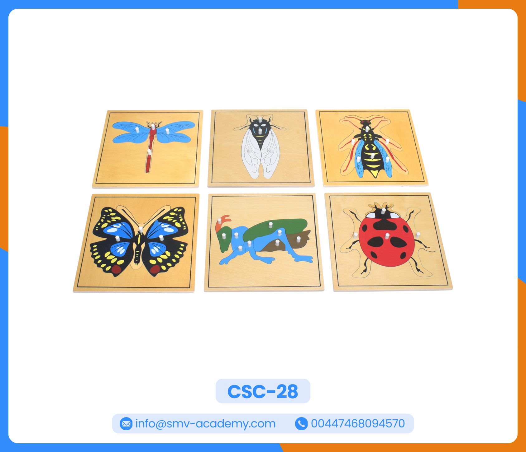 بازل أجزاء الجندب – الجراد